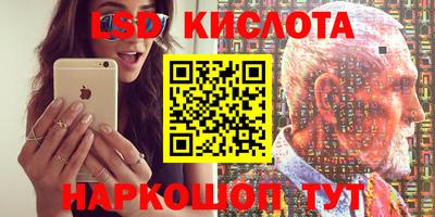 spice Гусев