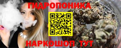 spice Гусев