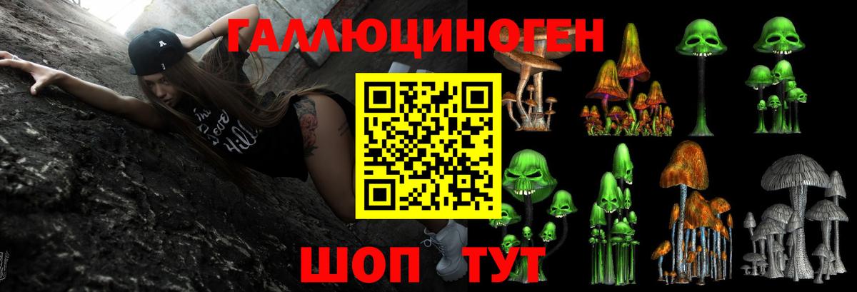 Галлюциногенные грибы Psilocybine cubensis  Вход с VPN  Ржев 